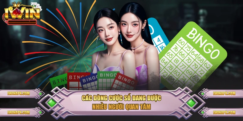 Các dòng cược số đang được nhiều người quan tâm