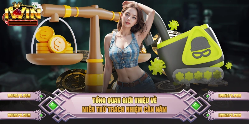 Tổng quan giới thiệu về miễn trừ trách nhiệm cần nắm